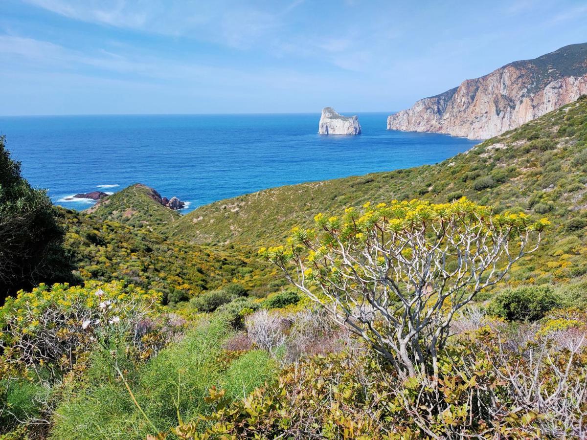 Villa Brezza Marina Nebida Buitenkant foto