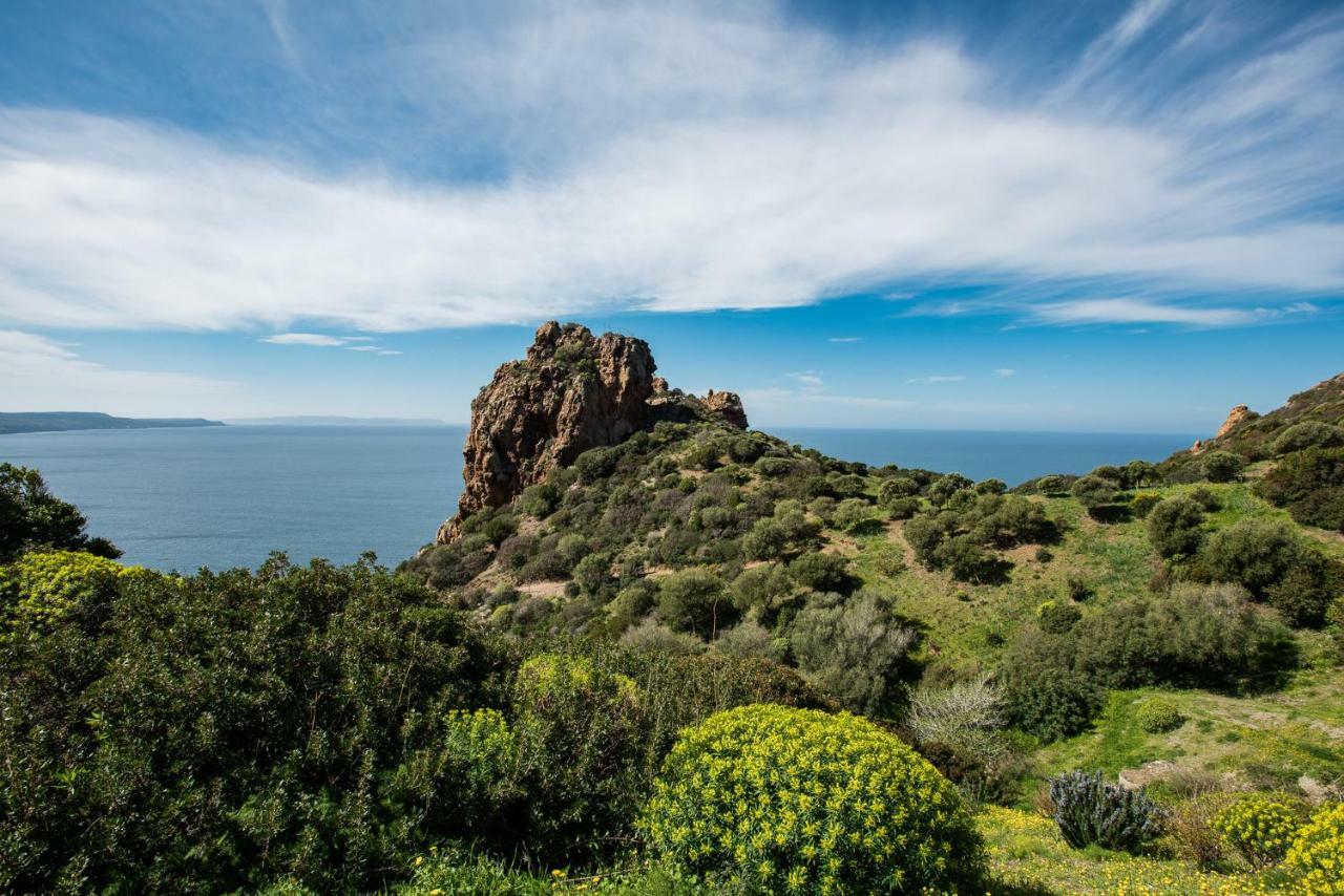 Villa Brezza Marina Nebida Buitenkant foto